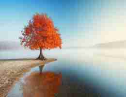 智‍能‍化‌加‌盟‍